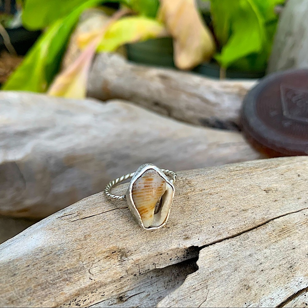 *SOLD* Puka dove shell Sea sterling & fine silver soldered adjustable β¦ - Picture 1 of 8